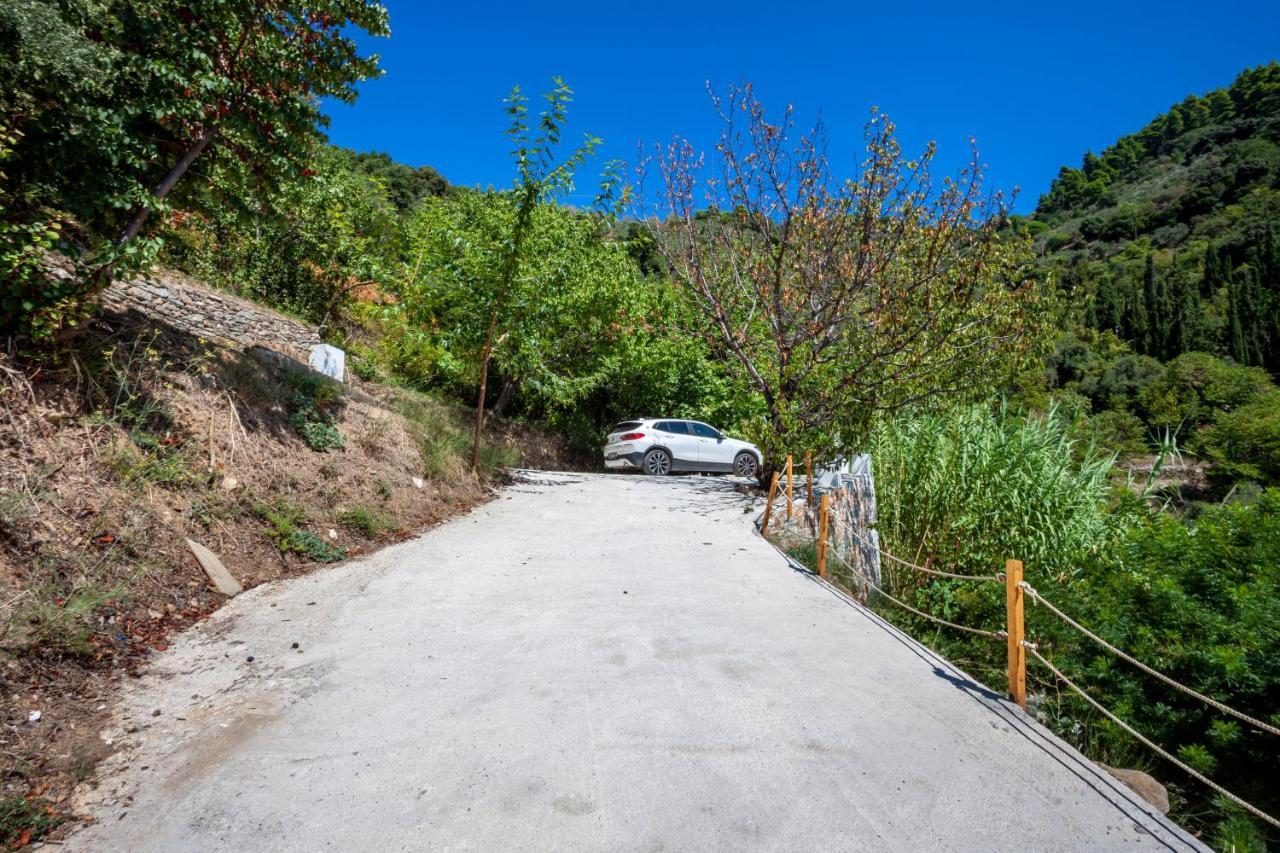 Olea Skopelos Villas With Swimming Pools & Sea View Panormos  Bagian luar foto