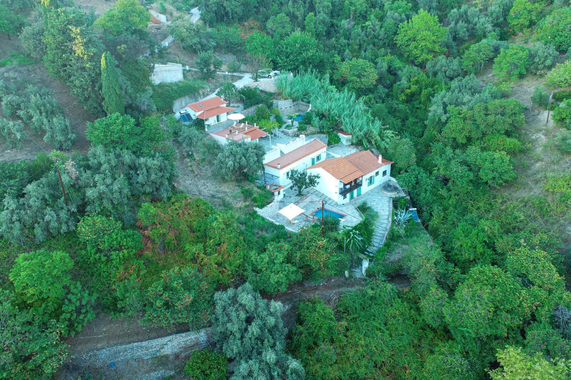Olea Skopelos Villas With Swimming Pools & Sea View Panormos  Bagian luar foto